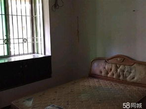 东堤湾精装一房一厅28.5万“以租代供”新模式，房屋代租轻松享收益